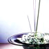 Ode to Ikebana